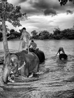 post-93078-0-72129400-1409380669_thumb.j