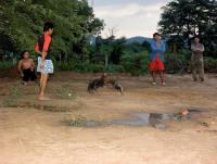 post-93078-0-81999800-1409381380_thumb.j