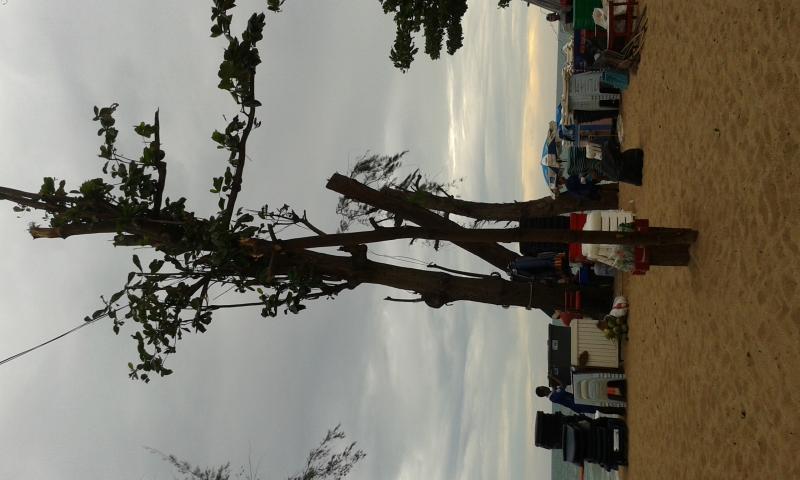 post-110622-0-14162500-1439086466_thumb.