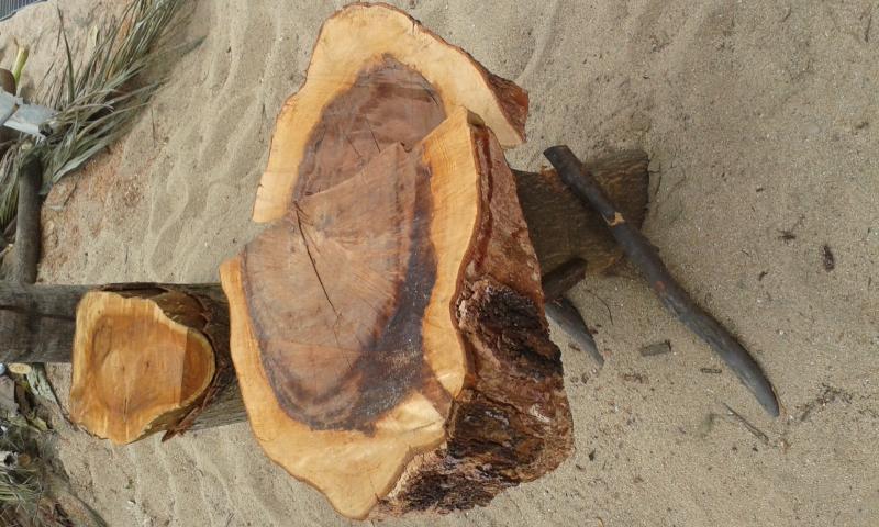 post-110622-0-57558600-1439086498_thumb.