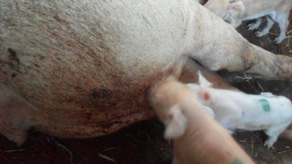 post-143986-1440464070941_thumb.jpg