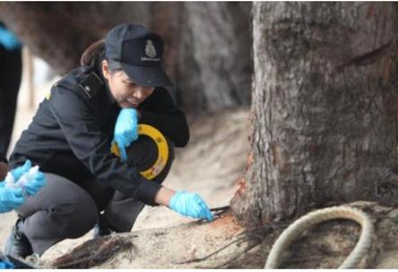 post-155768-0-29066800-1441019179_thumb.