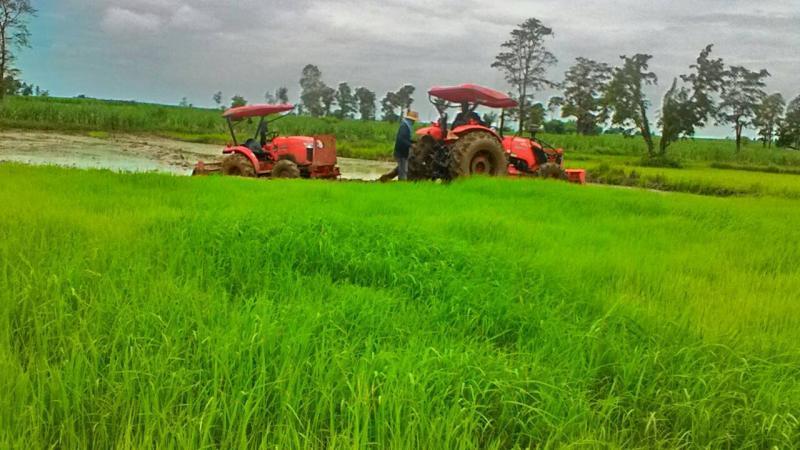 post-156308-0-79961000-1439480123_thumb.