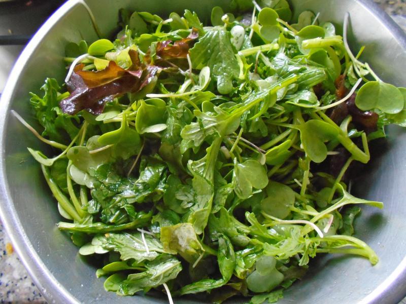 post-215904-0-22581700-1439592428_thumb.