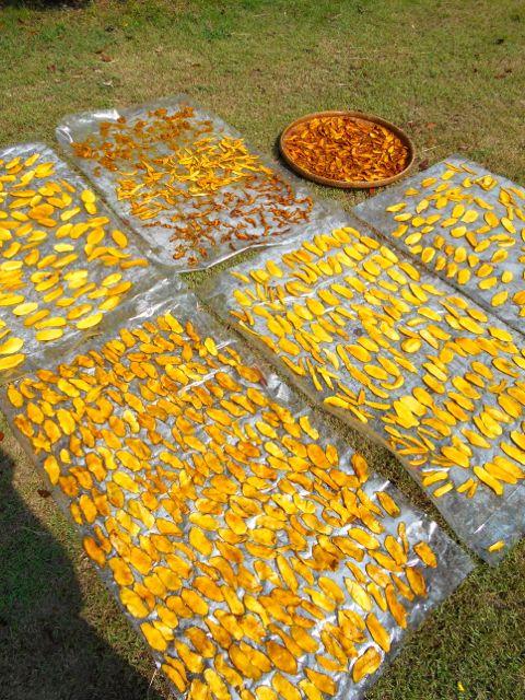 post-215904-0-30415100-1439592295_thumb.