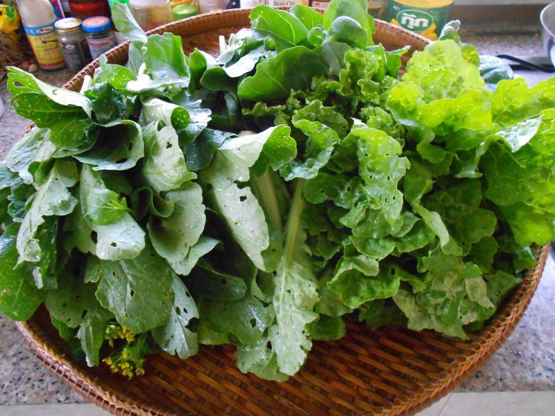 post-215904-0-58803000-1439592488_thumb.