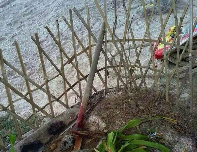 post-222707-0-79873200-1440769848_thumb.