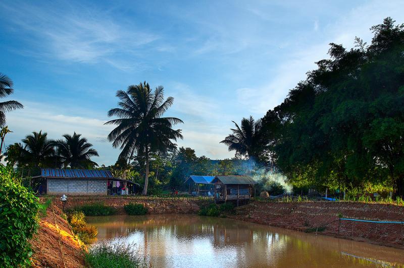 post-228573-0-03274500-1440322396_thumb.