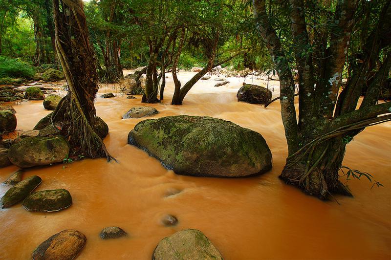 post-228573-0-19438800-1440741574_thumb.