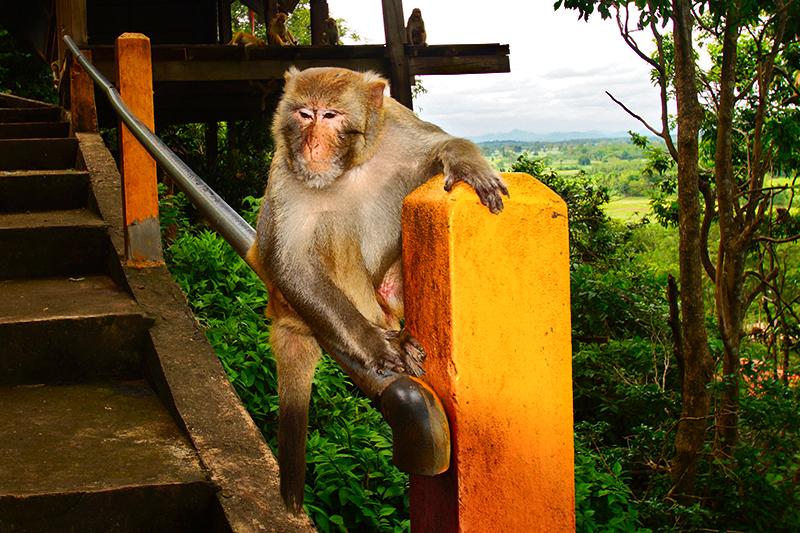 post-228573-0-25329700-1438781196_thumb.