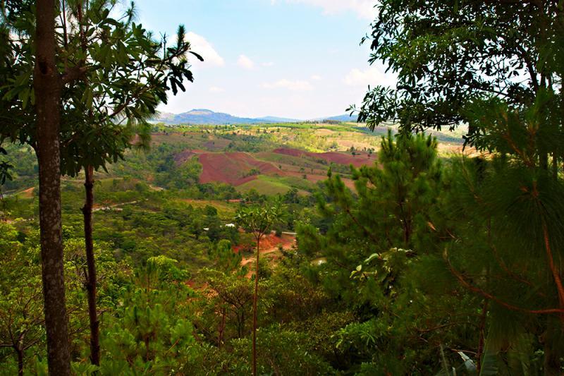 post-228573-0-25987400-1439480632_thumb.