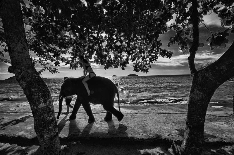 post-228573-0-62709000-1441022239_thumb.