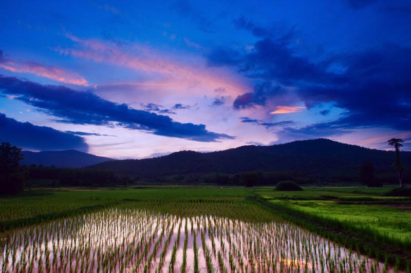 post-228573-0-63270800-1438958774_thumb.