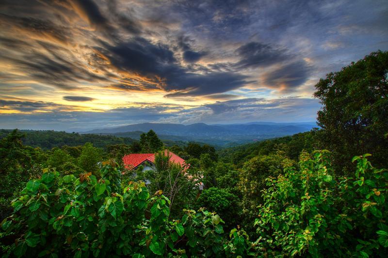 post-228573-0-63341700-1438526558_thumb.