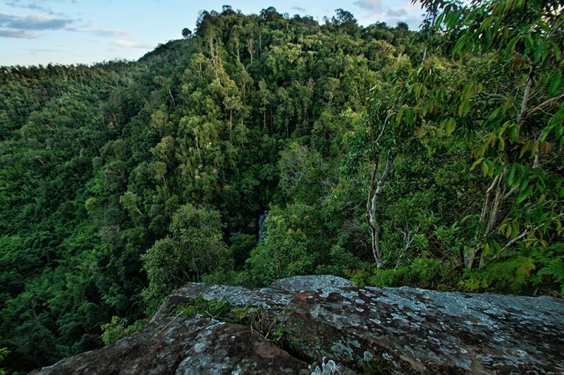 post-228573-0-94853700-1439995115_thumb.