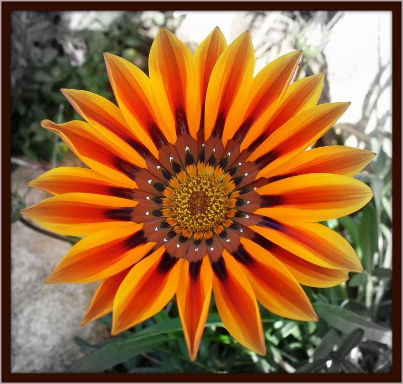 post-231841-0-05174400-1439433729_thumb.