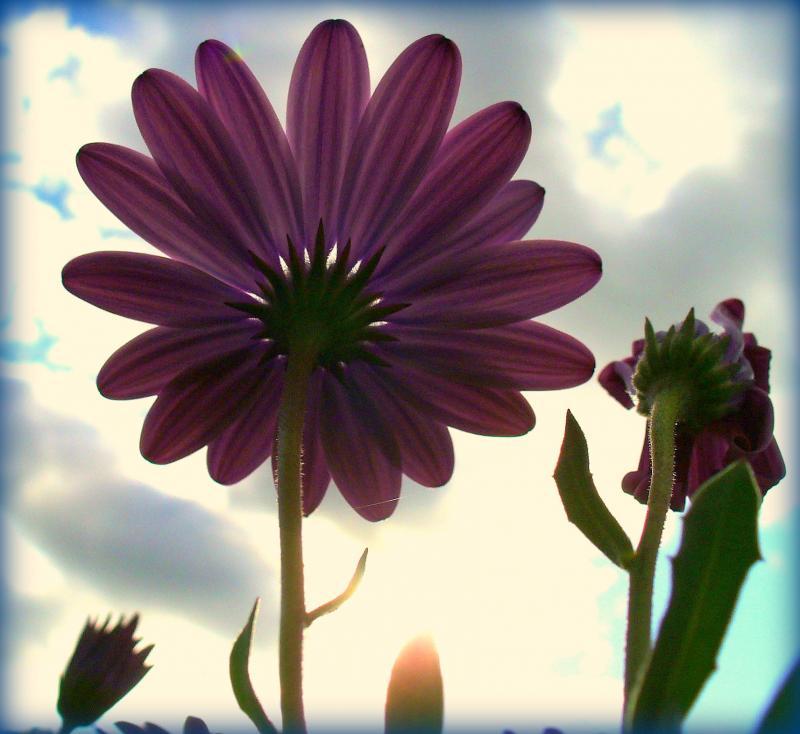 post-231841-0-16778700-1439437956_thumb.