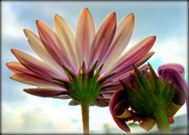 post-231841-0-18737400-1439349632_thumb.