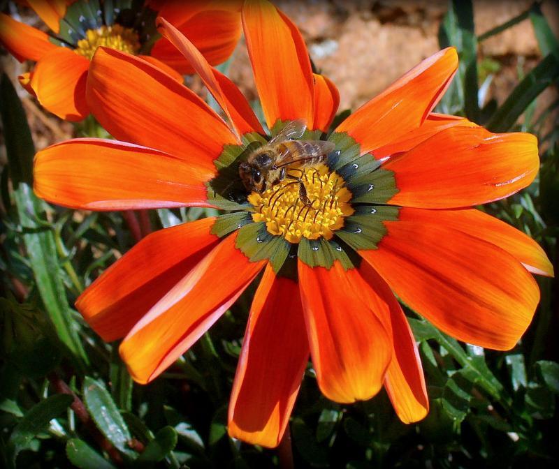 post-231841-0-27452200-1439897147_thumb.