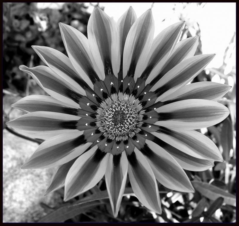 post-231841-0-32503100-1439433755_thumb.