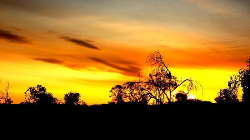 post-231841-0-63844900-1439909659_thumb.