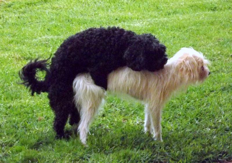 post-231841-0-96833300-1440685541_thumb.