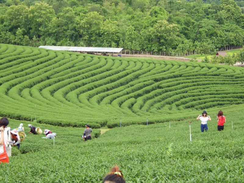 post-232120-0-04286500-1439527508_thumb.