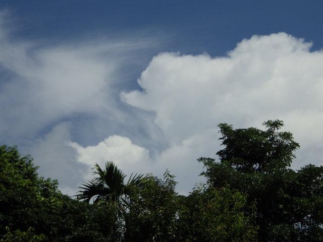 post-232120-0-92402400-1439364398_thumb.