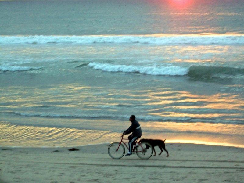 post-233549-0-41321100-1439350297_thumb.