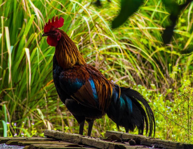 post-233984-0-90531300-1438571193_thumb.