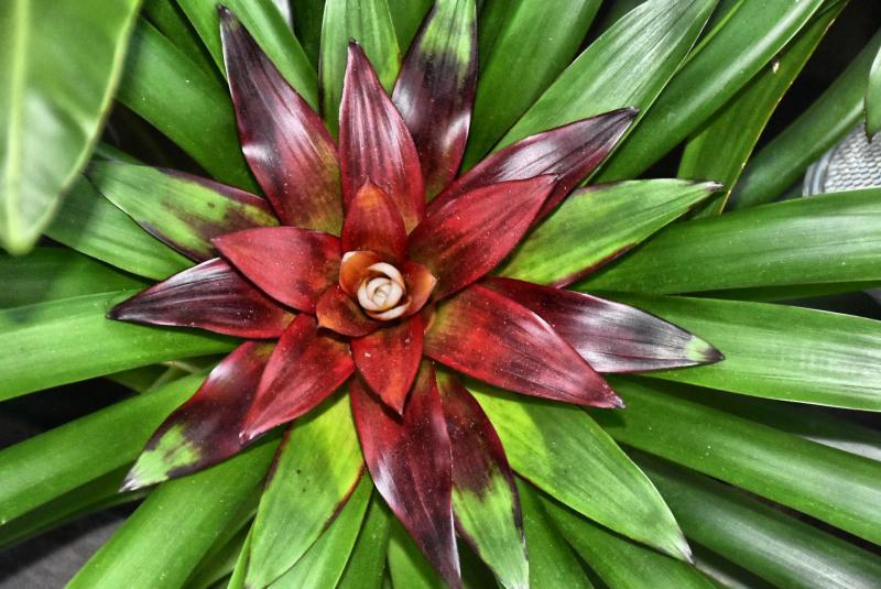 post-237730-0-03685200-1440896320_thumb.