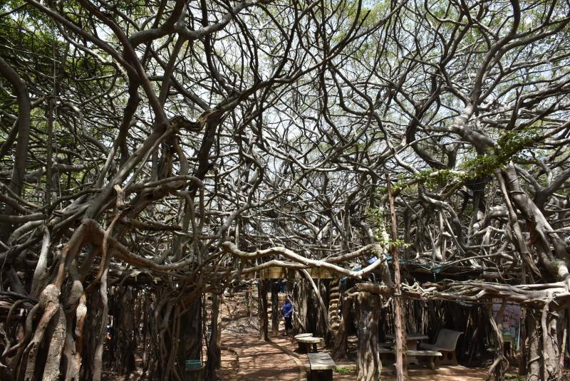 post-237730-0-27804000-1439700063_thumb.