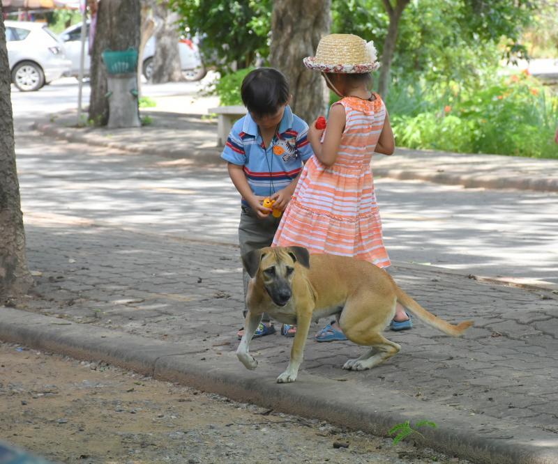 post-237730-0-44031300-1439693645_thumb.