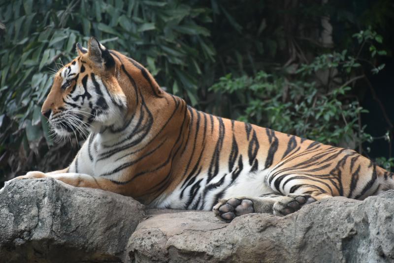 post-237730-0-54227900-1439011042_thumb.