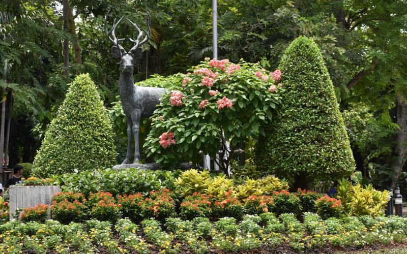 post-237730-0-62428400-1440144607_thumb.