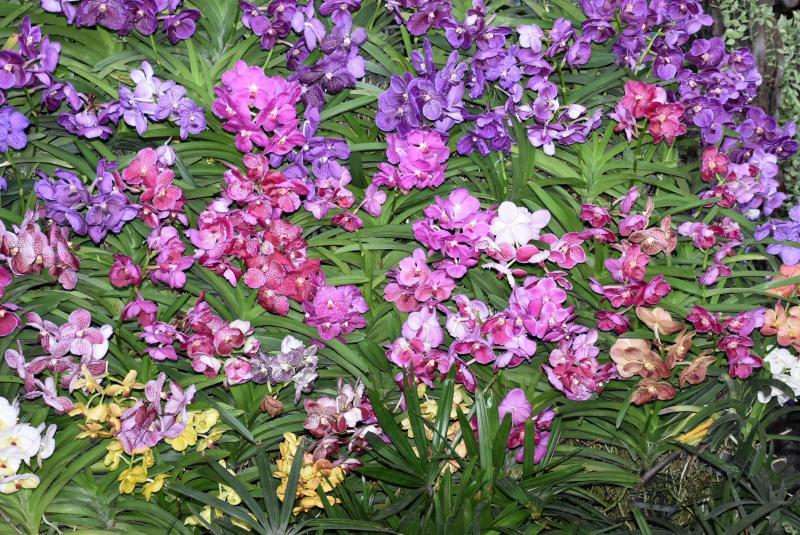 post-237730-0-83987900-1439272934_thumb.