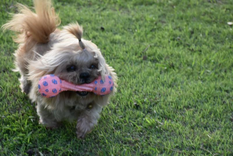 post-237730-0-89599400-1440220593_thumb.