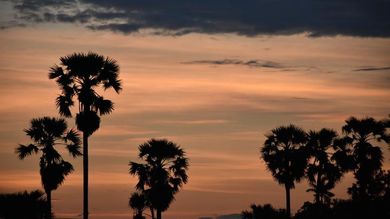 post-237730-0-92387400-1439377310_thumb.