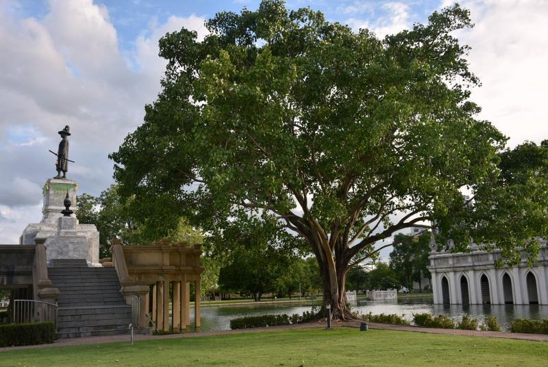 post-237730-0-96677500-1439271124_thumb.