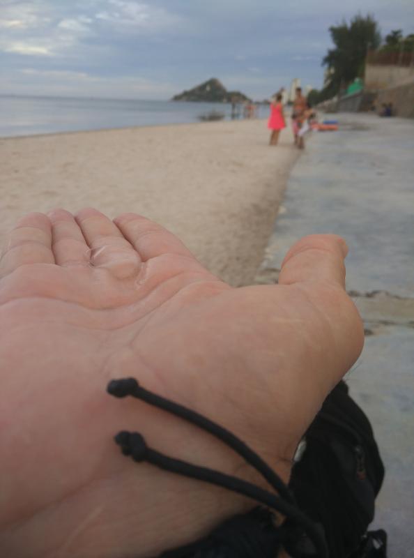 post-239633-0-06252600-1439493892_thumb.