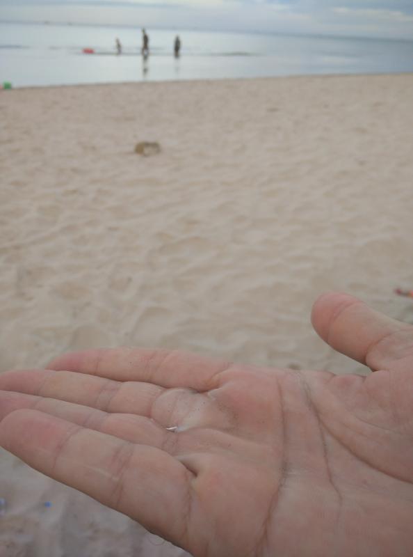 post-239633-0-43090500-1439493885_thumb.