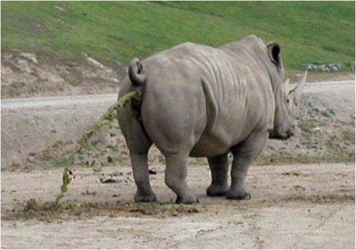 post-242586-0-21945500-1439714483_thumb.