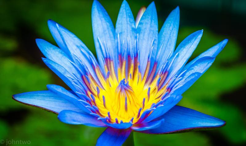 post-242846-0-14029000-1438859433_thumb.