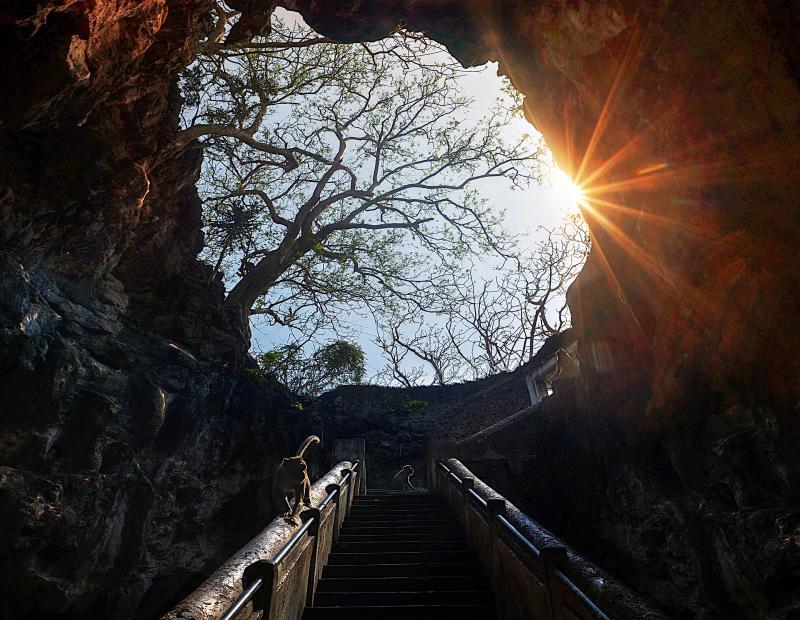 post-243171-0-31305000-1438690123_thumb.