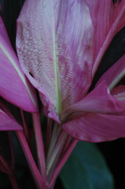 post-32010-0-67679600-1438745736_thumb.j