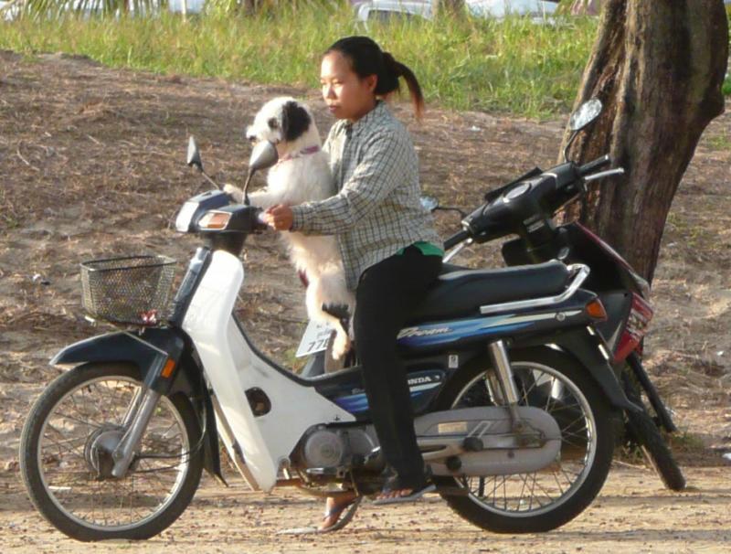 post-35489-0-11200300-1438518679_thumb.j