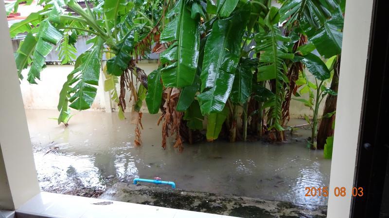 post-35489-0-40598600-1438577516_thumb.j