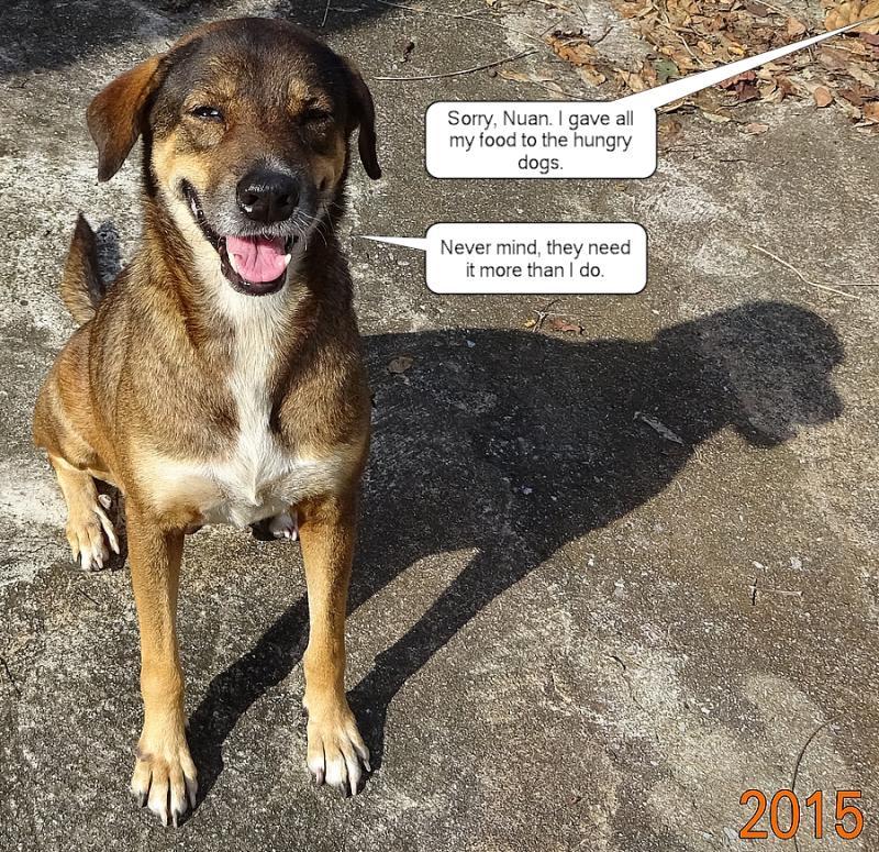 post-35489-0-55524200-1439738366_thumb.j