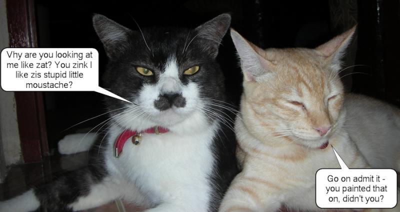 post-35489-0-70289500-1438973203_thumb.j