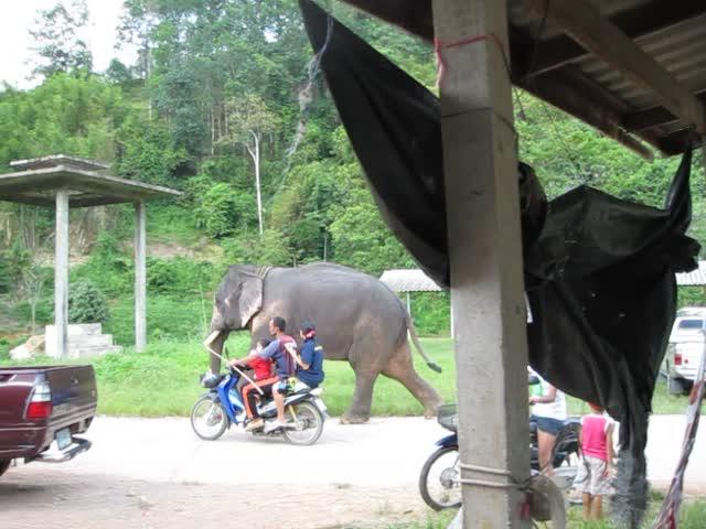 post-35489-0-70773600-1438930341_thumb.j